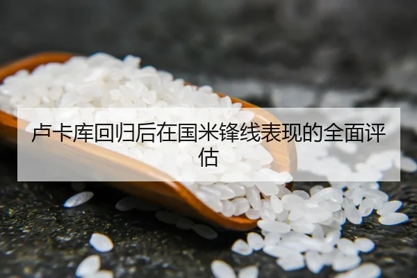 卢卡库回归后在国米锋线表现的全面评估