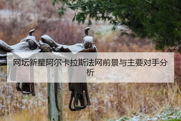 网坛新星阿尔卡拉斯法网前景与主要对手分析